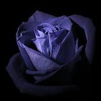 rosario_macias_790256 avatar