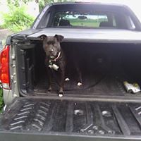 jasmine_danko_1 avatar