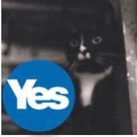 kraig_mitchell_54 avatar