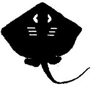 mychemcantgetenuff avatar