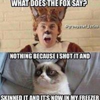 juniortigerjuss avatar