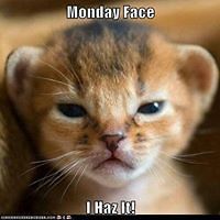 cheryl_claussen1 avatar