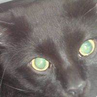 karine_fichterbarnoud avatar