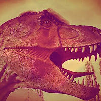 julieholmesjulzcat avatar