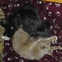 CraftyArtsEmporium avatar