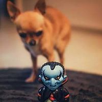 miss_ginger_pale avatar