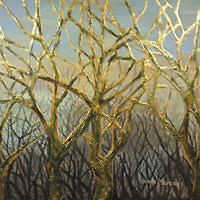 diana_marcus_94 avatar