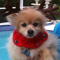 jacquelinerodriguez avatar