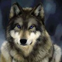 silvia_butiri avatar