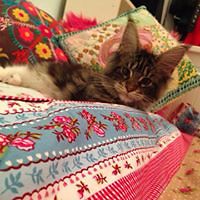 jacky_doyle_902 avatar