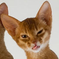 lee-anngilliam avatar