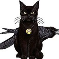 diana_marques_7509 avatar