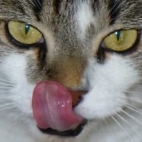 terri_duke_56 avatar