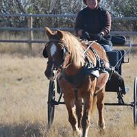 merete_heggelund avatar