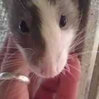 jeannie_antonini avatar