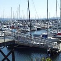 diana_alfonso_3914 avatar