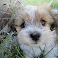 marlene_jensen_18 avatar