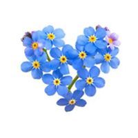 lievemonnenscash avatar