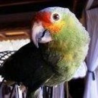 joanne_klein_520 avatar