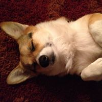 chris_behringer_7 avatar