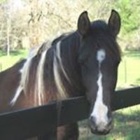 amy_rogerson_39 avatar