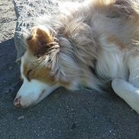 546d367e86937 avatar