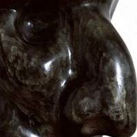 bernard_lac_3 avatar