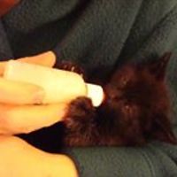 paula_bennett_125323 avatar