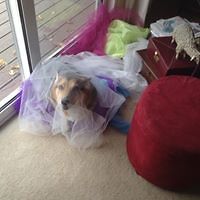 kristin_l_hug avatar