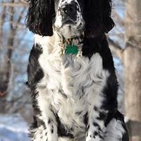 margaret_b_skinner avatar