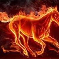 ritacrousekalil avatar