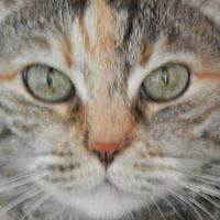 alberto_maccarini_52 avatar