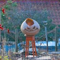 546f0c780fb4d avatar