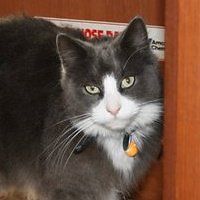 wendy_burkwood avatar