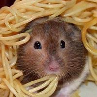 annie_mcmanus_16 avatar