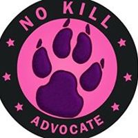 angela_c_bollettieri avatar