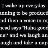 annette_topits avatar