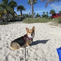 shelly_diggans avatar