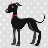 marcela_corona_796 avatar