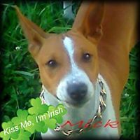 shawn_k_colgan avatar