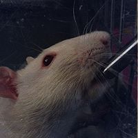 emma_thunderstar avatar