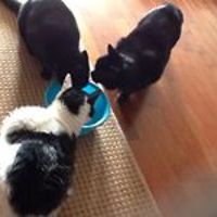 5470b2376dc66 avatar