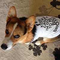 becky_sours_9 avatar