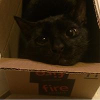 sherry_juarezlaks avatar