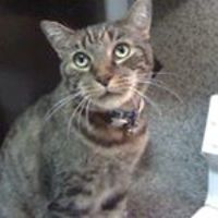 teresa_cruz_7399786 avatar