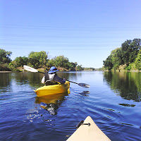 rosemariemorgan avatar