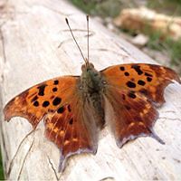 547269644d00d avatar