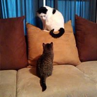 jennifer_m_whitmore_9 avatar