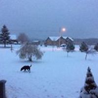 chandra_c_oconnor avatar