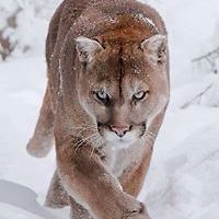 patricia_wagner_796569 avatar